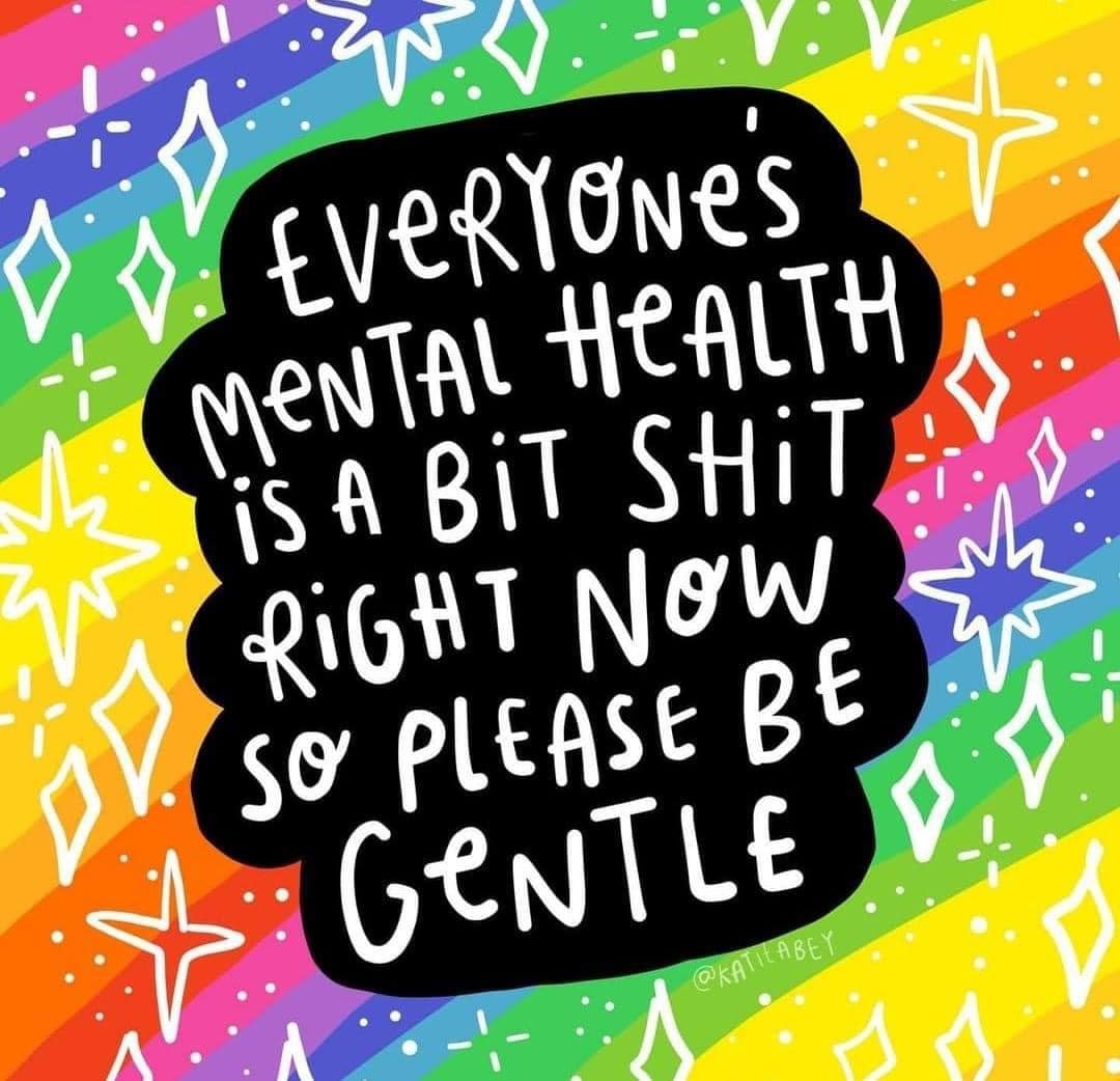 This meme is a humorous and relatable image that pokes fun at the common phrase "I'm fine" when someone is actually struggling with their mental health. The text in the image reads: "Everyone's mental health is a little broken right now so please be gentle". The meme is likely intended to be a lighthearted way to acknowledge that everyone is struggling with their mental health, and to encourage others to be kind and understanding.